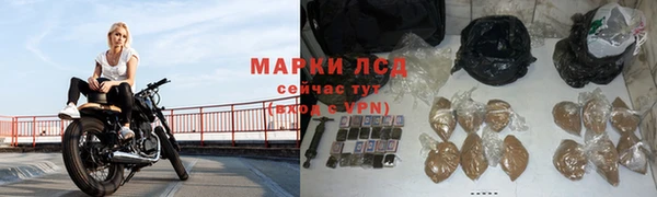 спиды Майский