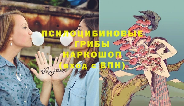 прущая мука Магас