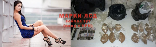 прущие грибы Магадан