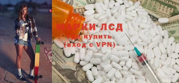 прущие грибы Магадан