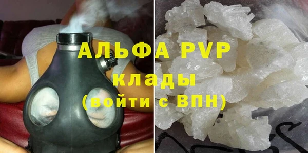 прущие грибы Магадан